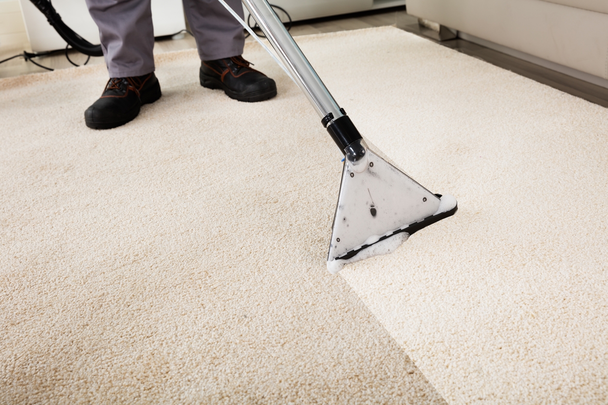 How Can I Keep My Carpet Clean After Having It Professionally Cleaned?