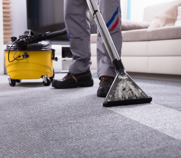 Efficient carpet cleaning by Plymouth Carpet Service to Michigan homes