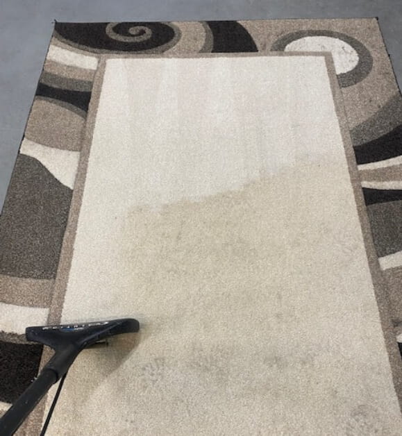 Quality carpet cleaning from Michigan's Most Trusted Carpet Cleaning Company: Plymouth Carpet Services